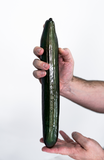 BIG CUCUMBER